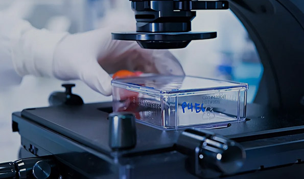 熱烈慶祝我司順利通過&ldquo;專精特新&rdquo;企業(yè)認(rèn)定